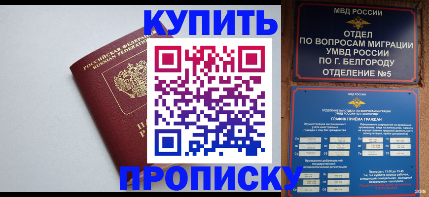 прописка регистрация в Щёлково